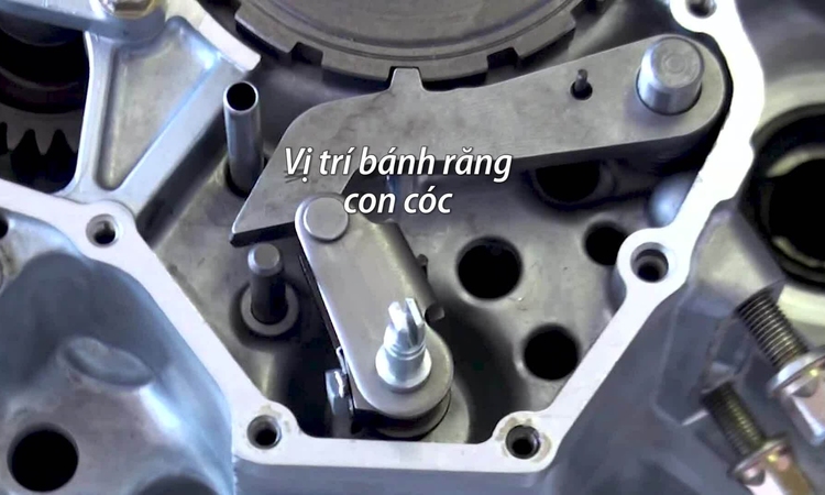Những tình huống sử dụng số tự động sai lầm